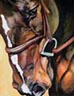 Find horses for sale, horse gifts and equestrian jewelry